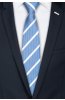 Pánská kravata BANDI, model LUX 248