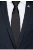 Pánská kravata BANDI, model LUX 257