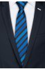 Pánská kravata BANDI, model LUX 258