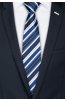 Pánská kravata BANDI, model LUX 261