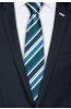 Pánská kravata BANDI, model LUX 262