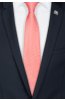 Pánská kravata BANDI, model LUX 273