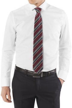 Pánská kravata BANDI, model LUX 311