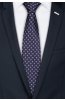 Pánská kravata BANDI, model LUX 427