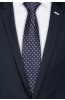 Pánská kravata BANDI, model LUX 428