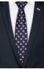 Pánská kravata BANDI, model LUX 431