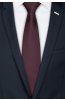 Pánská kravata BANDI, model LUX 433