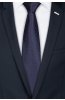 Pánská kravata BANDI, model LUX 434