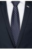 Pánská kravata BANDI, model LUX 436