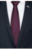 Pánská kravata BANDI, model LUX 437