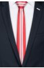 Pánská kravata BANDI, model LUX slim 105