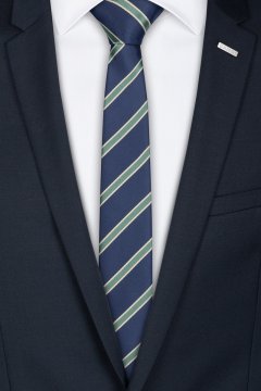 Pánská kravata BANDI, model LUX slim 169