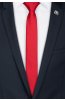 Pánská kravata BANDI, model LUX slim 254