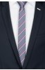 Pánská kravata BANDI, model LUX slim 79