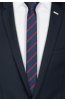Pánská kravata BANDI, model LUX slim 81
