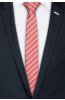Pánská kravata BANDI, model LUX slim 87