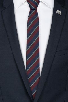 Pánská kravata BANDI, model LUX slim 170