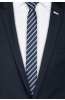 Pánská kravata BANDI, model AVITE slim