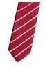 Pánská kravata BANDI, model DUARTE 04
