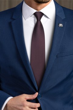 Pánská kravata BANDI, model CASIO 29