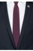 Pánská kravata BANDI, model CARIO 02