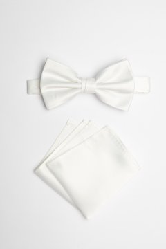 Pánský motýlek BANDI, model GALLA 02
