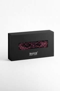 Pánský motýlek BANDI, model SILVERO slim 01