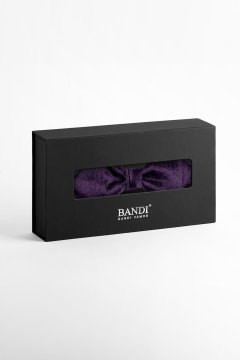 Pánský motýlek BANDI, model ALBARO slim 01