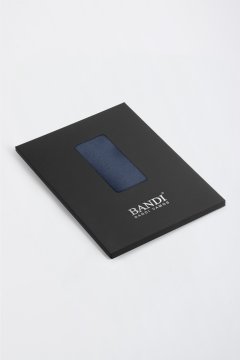 Pánský kapesníček BANDI, model GALLA 06