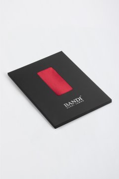 Pánský kapesníček BANDI, model GALLA 03