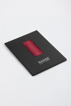Pánský kapesníček BANDI, model GALLA 04