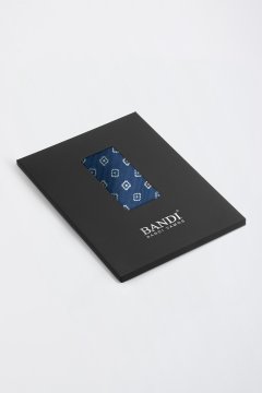 Pánský kapesníček BANDI, model INGANIO 02