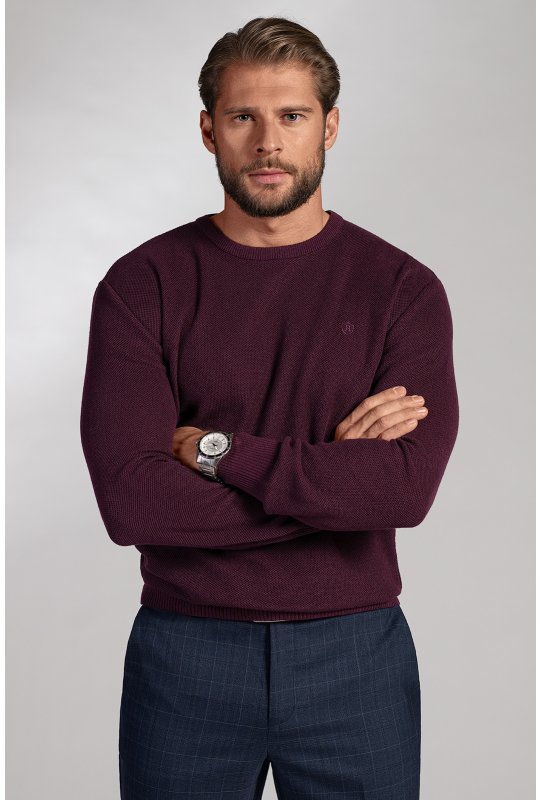 Pánský svetr BANDI, model ESCATRO Marsala