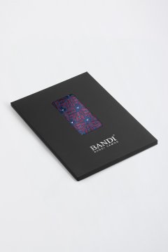 Pánský kapesníček BANDI, model COMPASSO 01