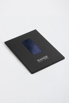 Pánský kapesníček BANDI, model COMPASSO 02