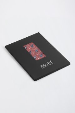 Pánský kapesníček BANDI, model COMPASSO 03