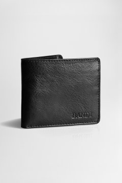 Pánská peněženka BANDI, model CASETTI Nero