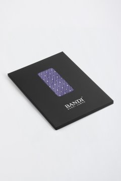 Pánský kapesníček BANDI, model SILVERO 11