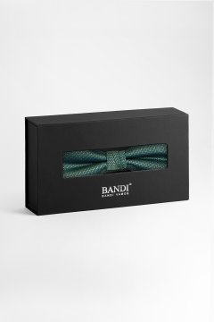 Pánský motýlek BANDI, model TINIO medium 03