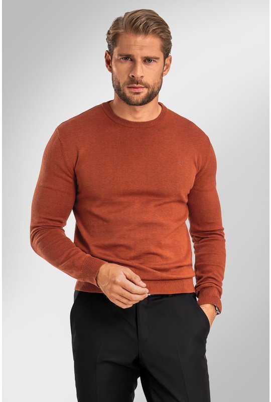 Pánský svetr BANDI, model AUGUSTIO Siena