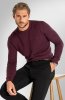 Pánský svetr BANDI, model EDGARO Marsala