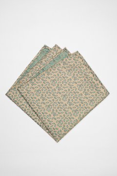 Pánský kapesníček BANDI, model CALPO 01