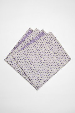 Pánský kapesníček BANDI, model CALPO 02