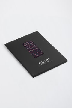 Pánský kapesníček BANDI, model CALPO 04