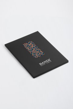 Pánský kapesníček BANDI, model PALSTO 02