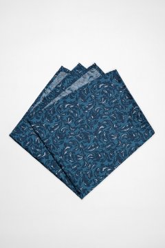 Pánský kapesníček BANDI, model PALSTO 03