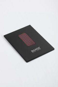 Pánský kapesníček BANDI, model TARALIO 01