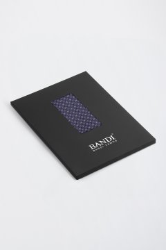 Pánský kapesníček BANDI, model TARALIO 02