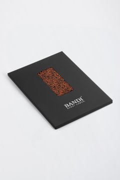 Pánský kapesníček BANDI, model VASCO 01