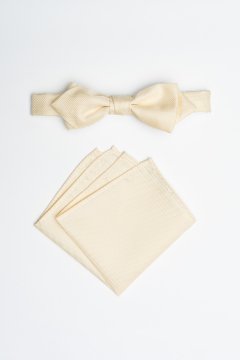 Pánský motýlek BANDI, model ANTUZIO slim 02